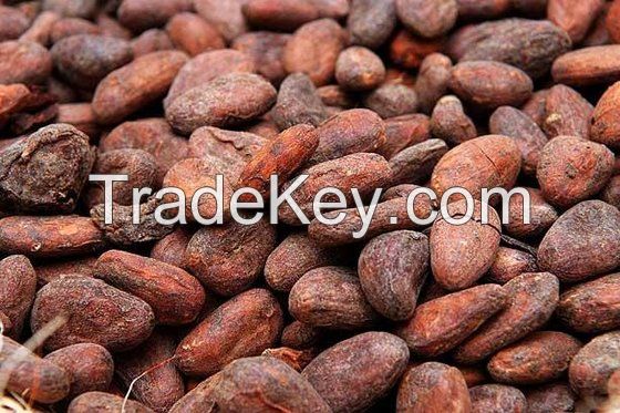 Cocoa Beans, Cocoa Powder, Coffee Beans