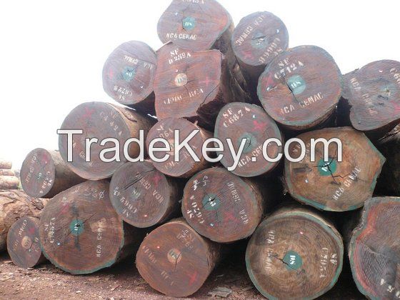 Quality Hard African Timber Logs