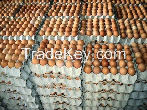 Fresh Brown Chicken Eggs