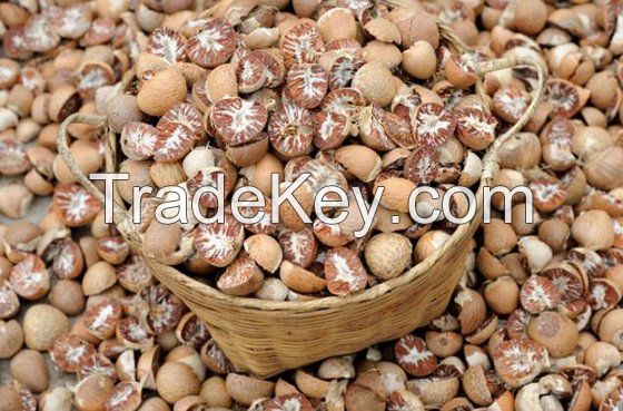 Areca Nuts for Sale