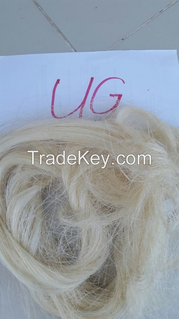 Natural Sisal Fiber Available