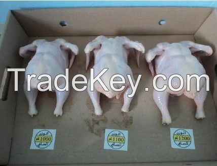 High Quality Whole Frozen Chicken and Chicken Products Feet Thigh Drumstick