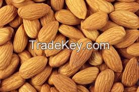 Raw Almonds Nuts, delicious and healthy Raw Almonds Nuts Almond/Apricot Kernels