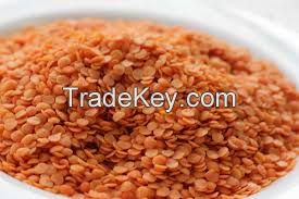 Premium Quality Split Red Lentils For Export!