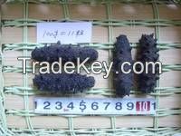HIGH QUALITY DRIED SEA CUCUMBER FROM INDONESIA
