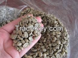 Robusta Coffee beans