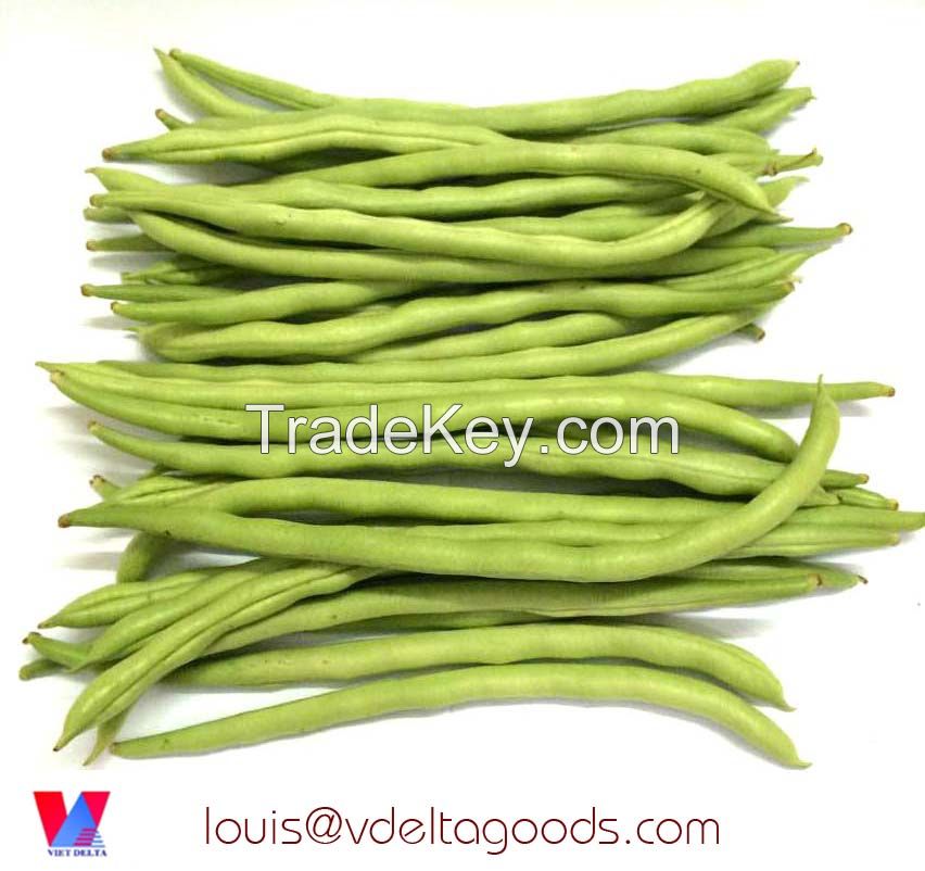 FRESH GREEN BEAN VIET NAM