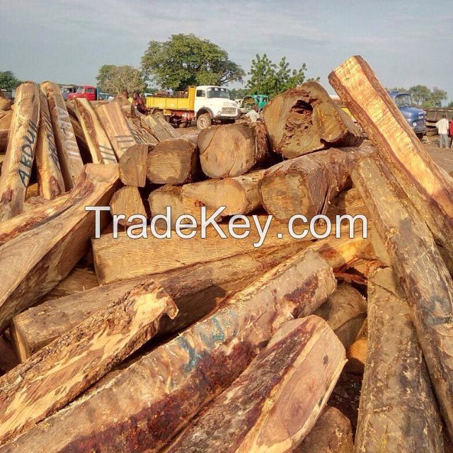 Kosso wood and pine wood