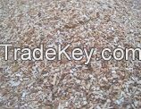 Wood Sawdust- Good Price