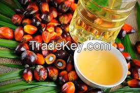High Quality Pure Refined and Crude Pam Oil