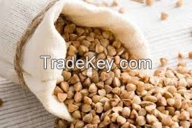 High Quality Roasted Buckwheat