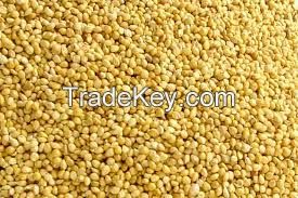 Yellow millet