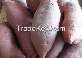 Fresh Sweet Potato