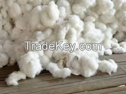 100% Organic Raw Cotton