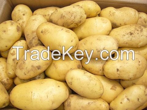 Fresh Potatoes, Sweet Potato For Sale..