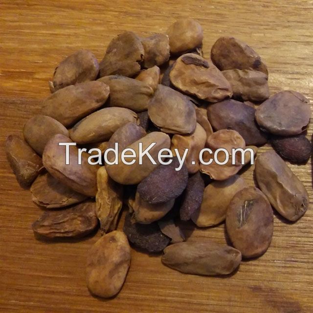 Akuamma Seeds (Picralima Nitida) Dried