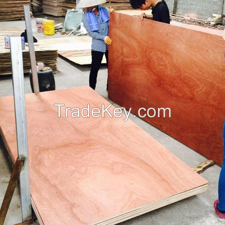 Vietnam Plywood