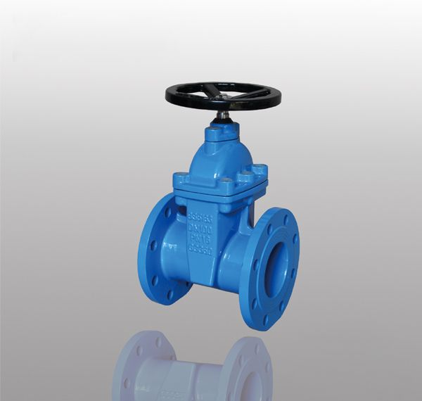 ANSI Standard DN100 Stem Gate Valve