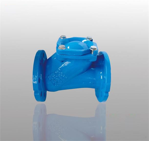 PN16 Cast Iron Flange Swing Check Valve