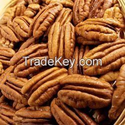 Grade A Premium Quality Pecan Nuts For Sale