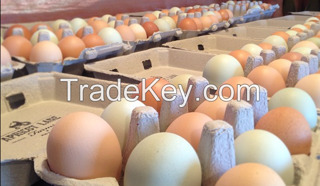 Chicken eggs and products for sale