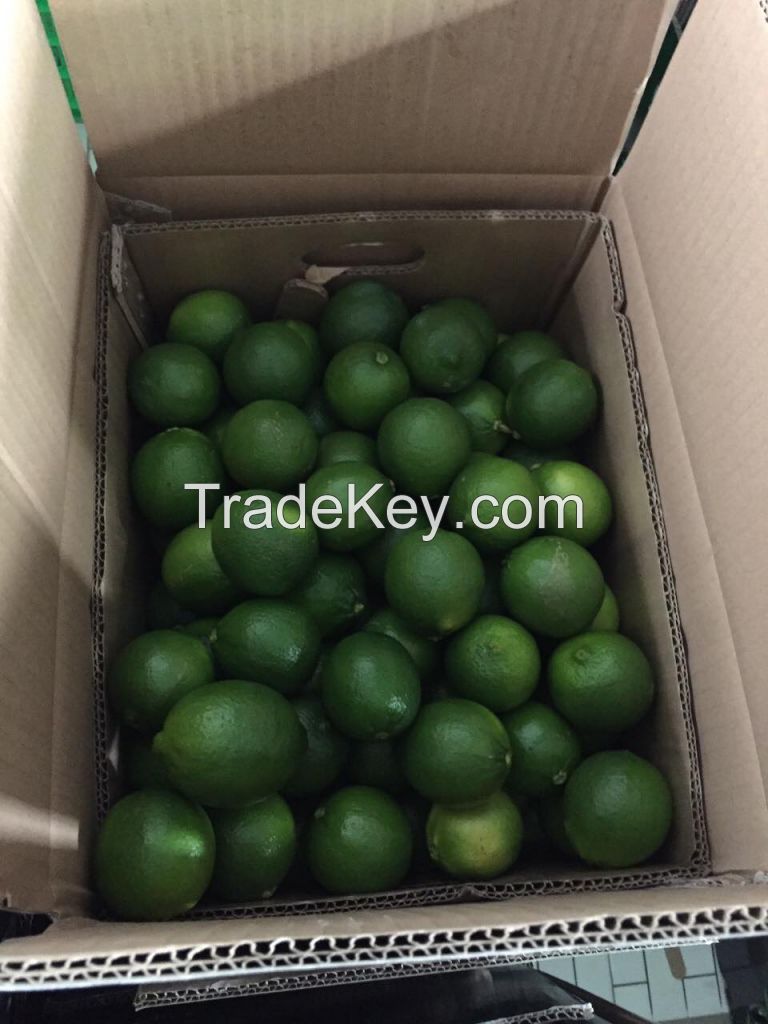 seedless lime/ lime with seed