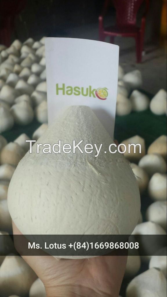 fresh young coconut exporter with high quality european standard