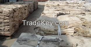 Grade A wet & Dry salted Cow, /Horse/Donkey/Buffalo/Goat Skin and Hides