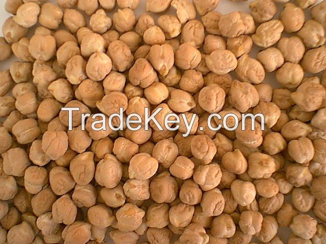 Kidney Beans, Chickpeas , Lentils, Soybeans, 