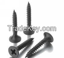 Day wall screw