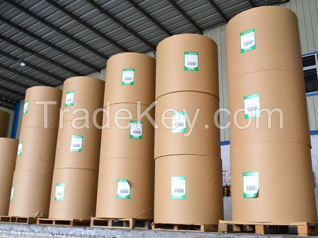 Competitive Price Top Quality White Printing Paper / Offset Paper