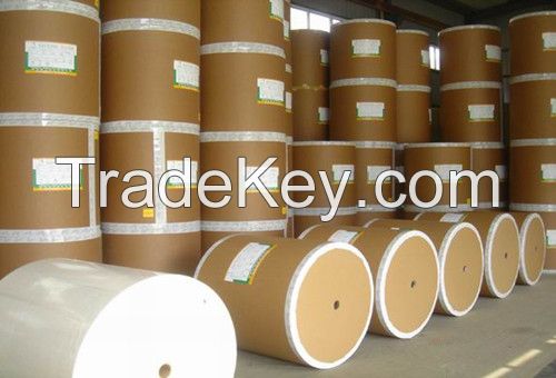 Factory Jumbo Roll Adhesive Tape Base Release Paper