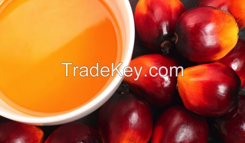 Palm Oil Available For Sale And Export