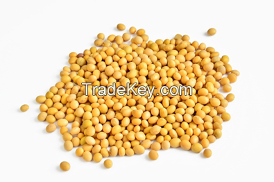 Non Gmo Soya Bean For Sale And Export