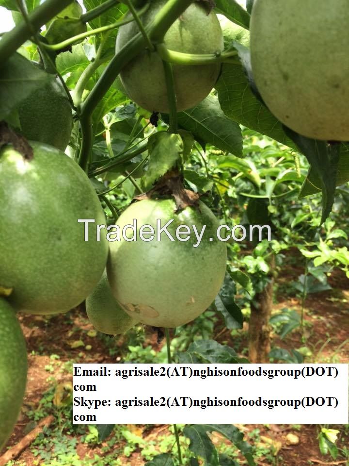 Sell Fresh Passion Fruit - Good Price