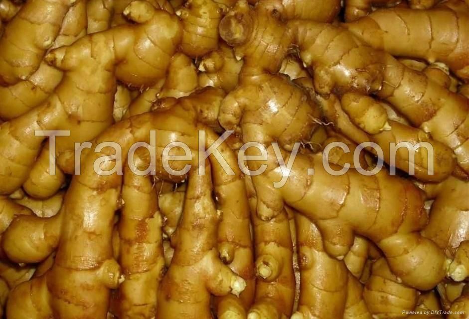 New Crop Fresh Ginger