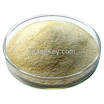 Sodium Alginate