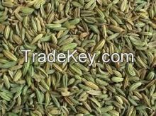 Mustard / Fennel Seeds