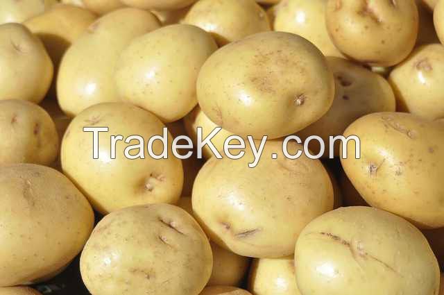 Fresh Potatoes, Sweet Potato For Sale..