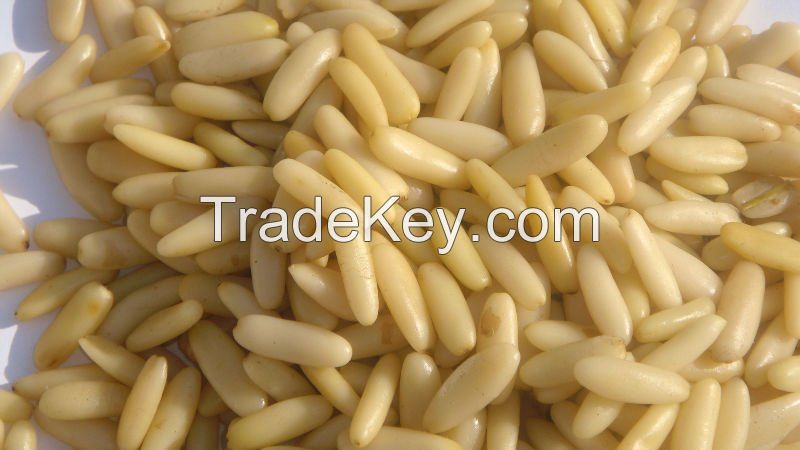 QUality Pine nut and Pine Kernel