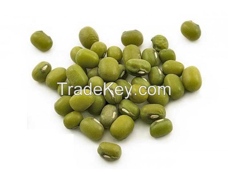 High quality green mung bean