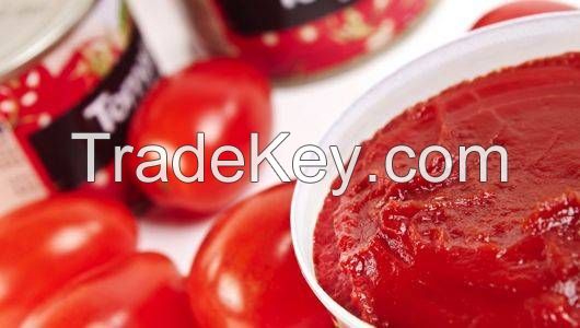 28-30% brix Tomato Paste