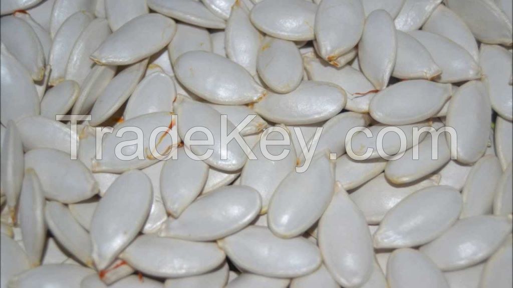 Pumpkin Seeds Best Quality, for sell