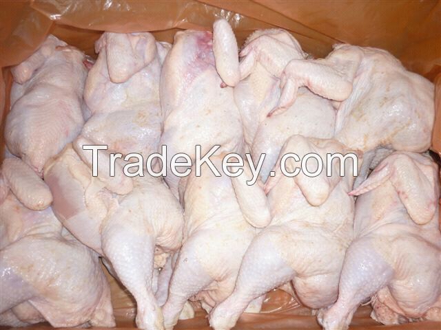 Wholesale frozen halal chicken parts