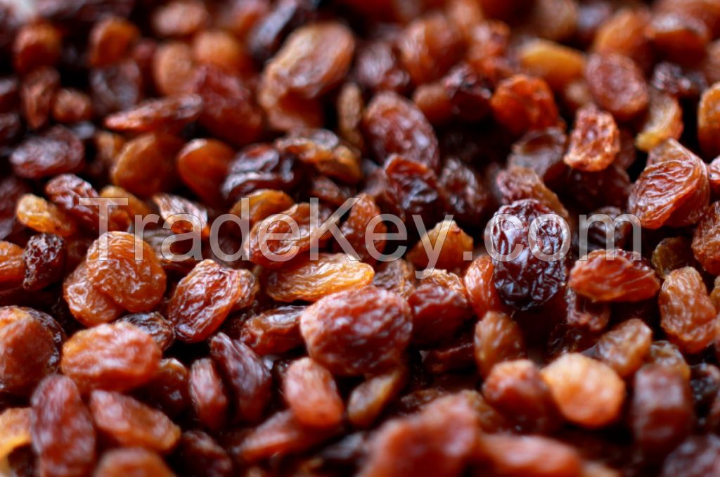 All types of raisins green raisin red raisin golden raisin