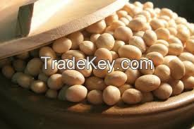 SOYBEAN without GMO