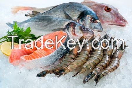 frozen seafood at wholesale