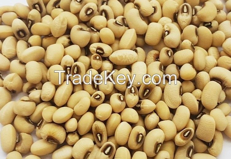 High Quality Black Eye Beans For Sale