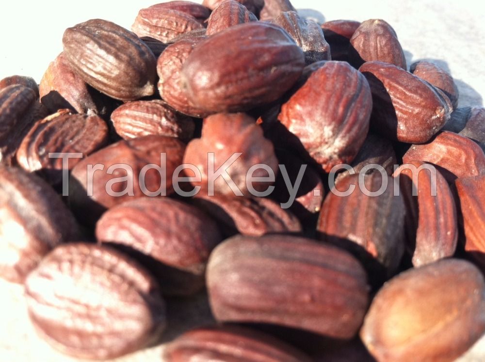 Organic Jojoba seed