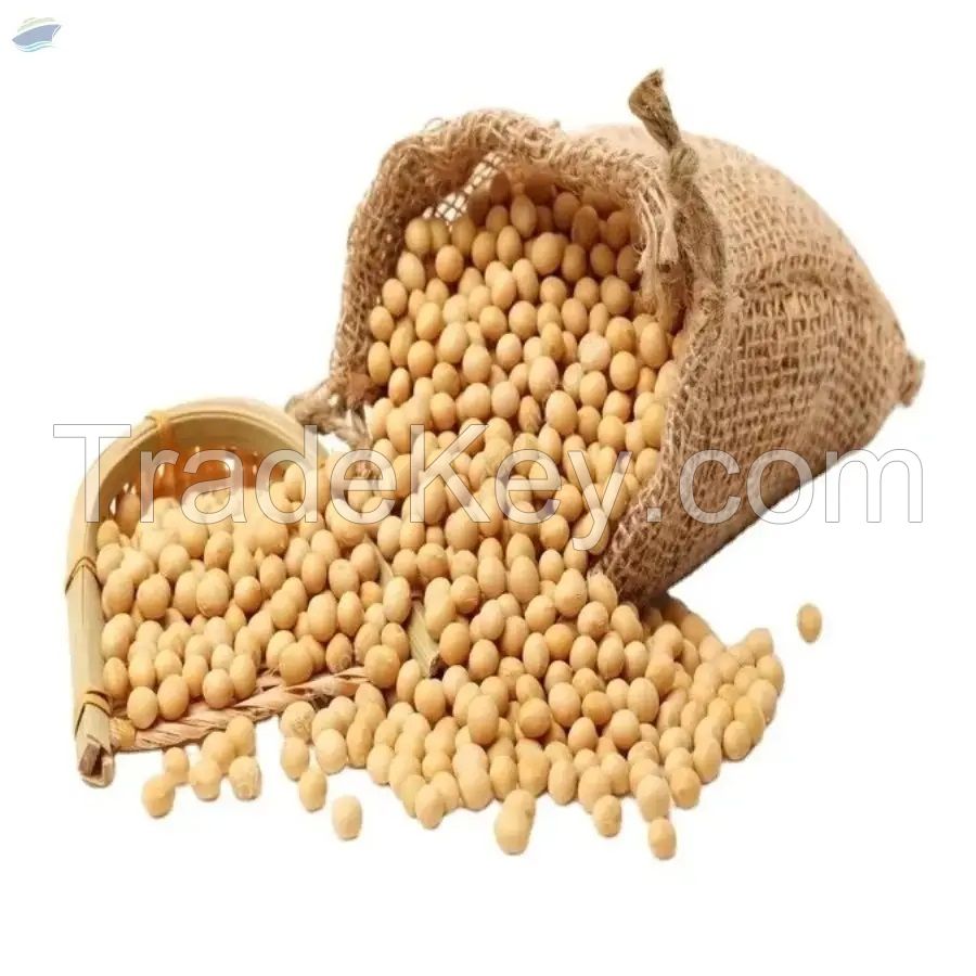 High Quality Soybean Wholesale